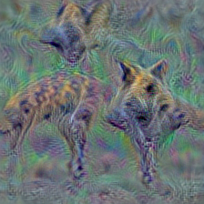 n02115913 dhole, Cuon alpinus